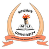 دانشگاه مزومبه